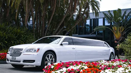 Cruise Transfers
